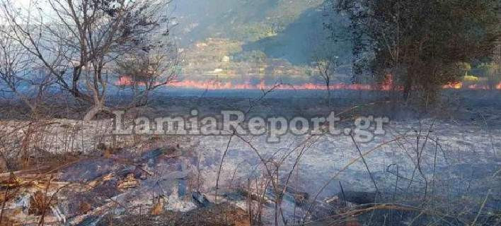 Η χώρα καίγεται και η Υπηρεσία Δημοσίων Εργων αφήνει κομμένα κλαδιά και χόρτα στην Αρκίτσα